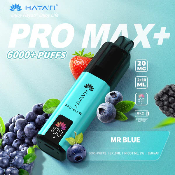 Hayati Pro Max Plus 6000 Puffs Disposable Vape