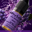 Elux Legend Nic Salts Pack of 10  